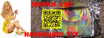 mdpv Бердск
